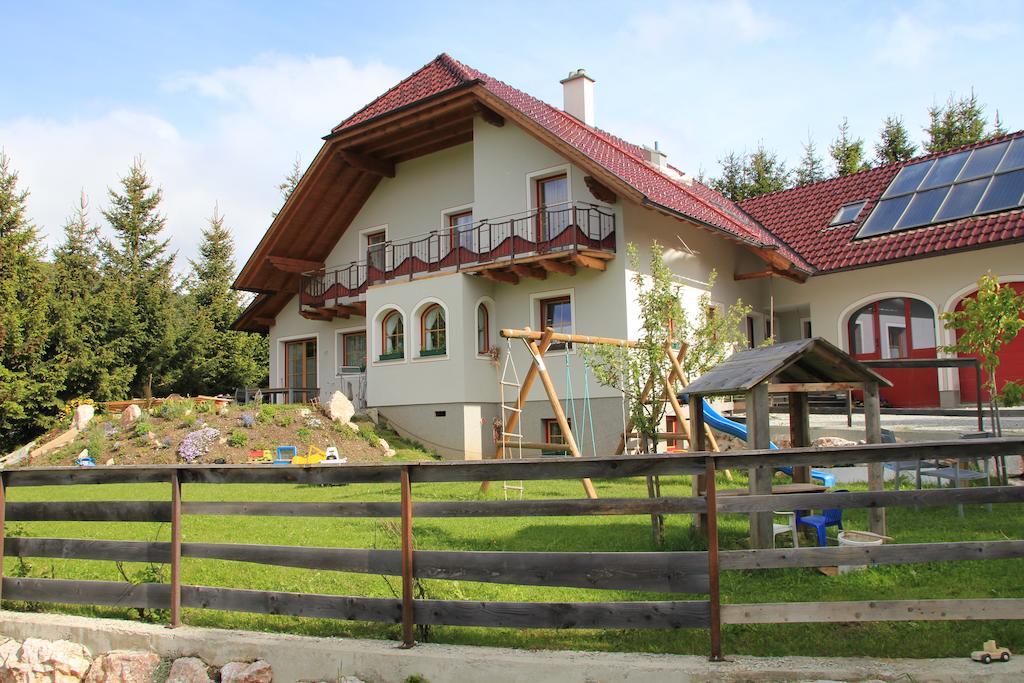 Haus Sylvia Apartment Mariapfarr Exterior photo